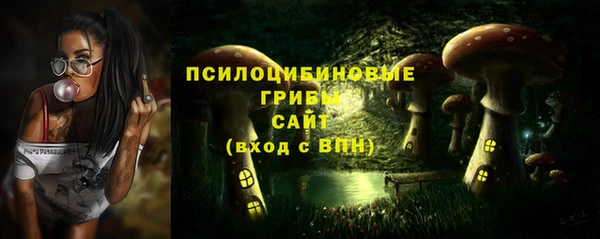 трава Армянск