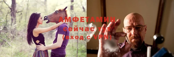 гидра Арсеньев