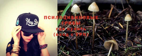 мяу мяу мука Аркадак