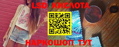 винт Владимир