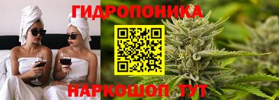винт Владимир