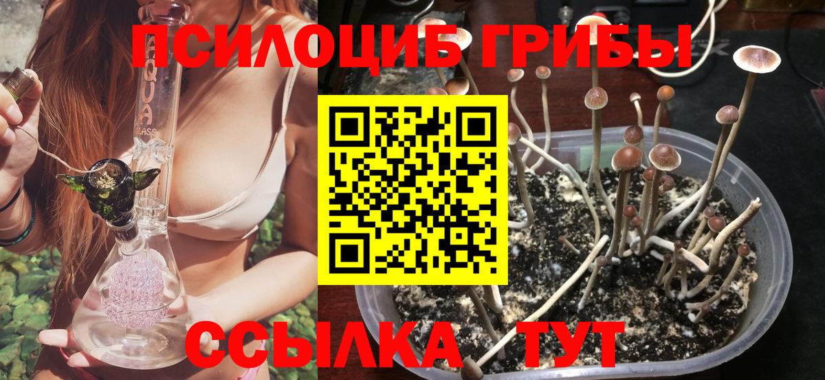 Галлюциногенные грибы мицелий  Вход с VPN  Нарьян-Мар 